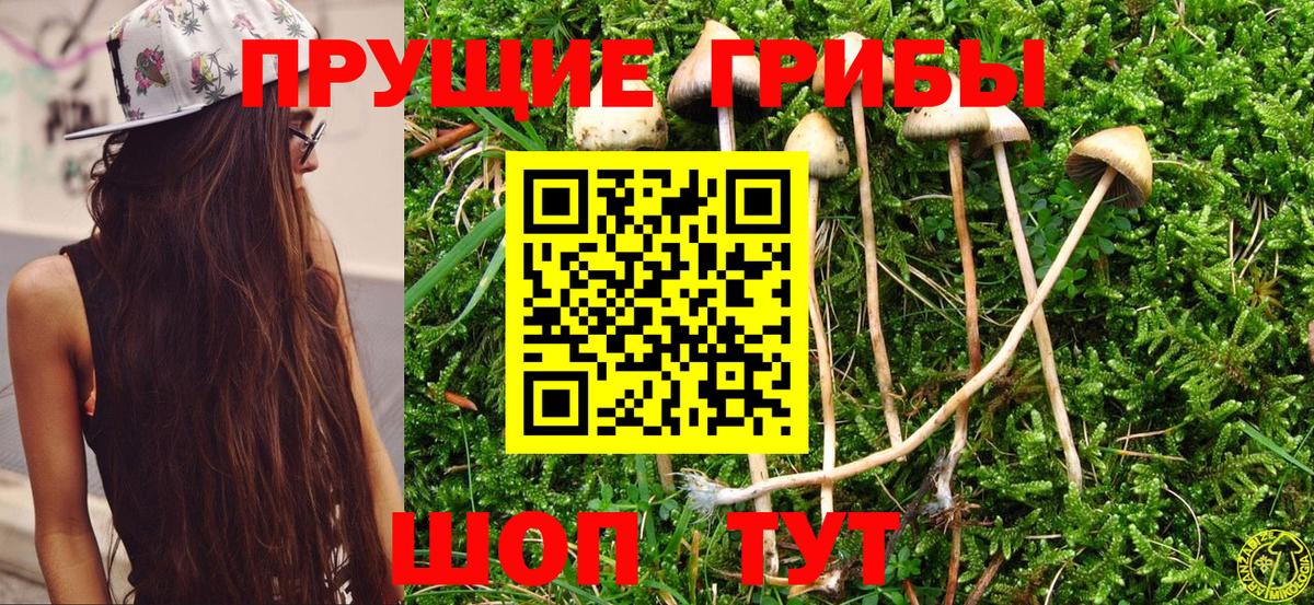 Галлюциногенные грибы Psilocybine cubensis Нижневартовск