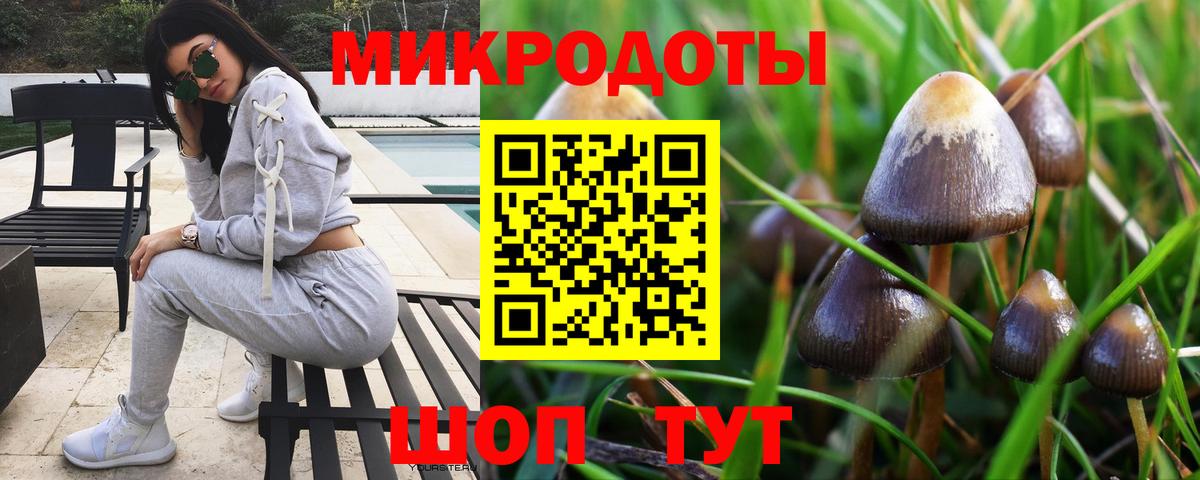 Псилоцибиновые грибы MAGIC MUSHROOMS  Псилоцибиновые грибы мицелий  Нижневартовск  Вход с VPN 